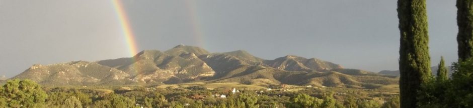 ROADRUNNER VIEW